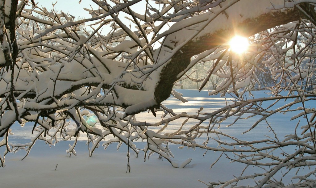 snow-383875_1920